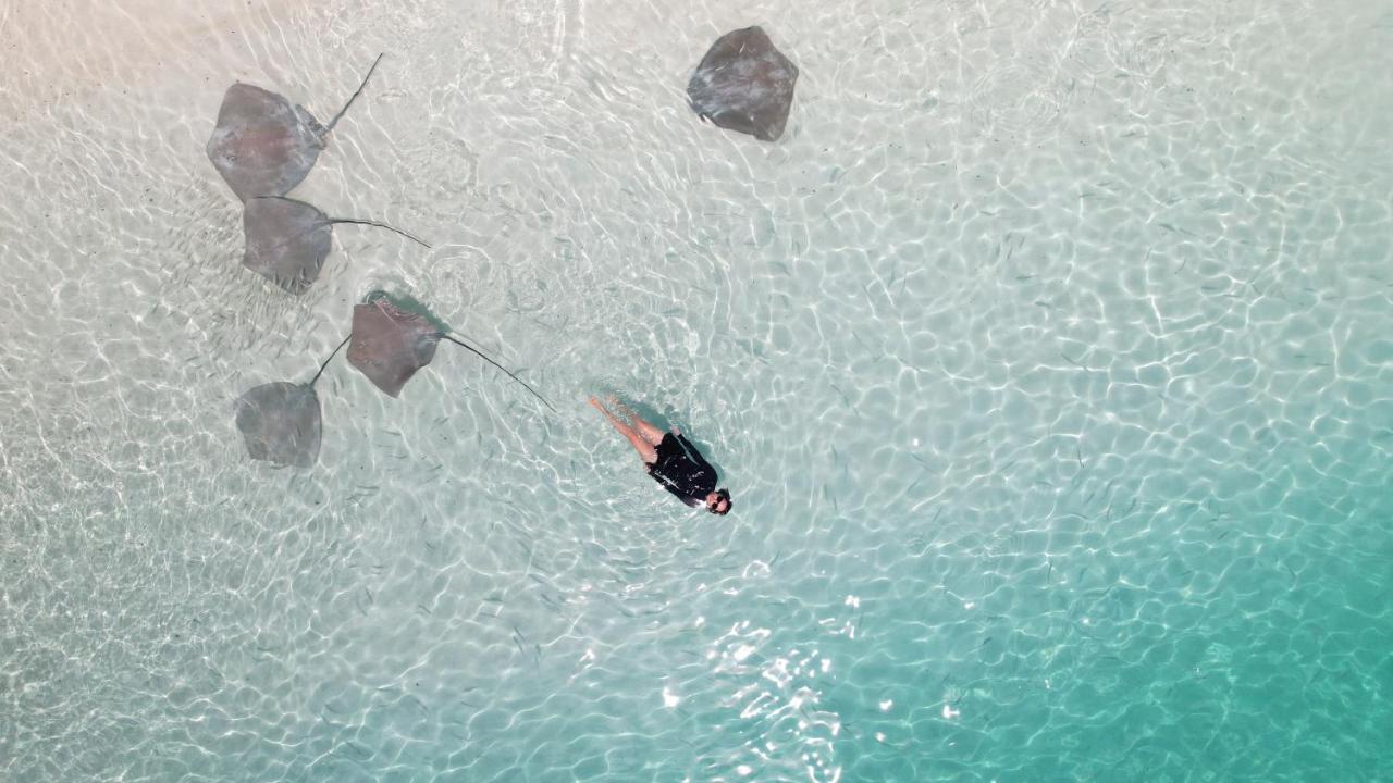 Pelican Beach Maafushi Eksteriør billede